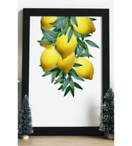Limon Dalı Ahşap 24x33 cm Tasarım Çerçeve