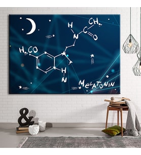 Grabovoi Meletonin Aşk Mutluluk Formülü Yaşam Çiçeği Kanvas Tablo