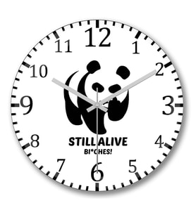 Still Alive Panda Duvar Saati Bombeli Gercek Cam