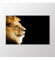 Arty Tablo Aslan Tablo (Karışık)