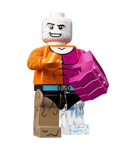 LEGO Minifigures 71026 Dc Super Heroes Series : 12.Metamorpho