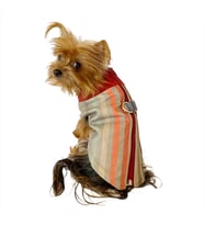 Stripe Bordo Su itici Yağmurluk Köpek Yağmurluğu  (Karışık)