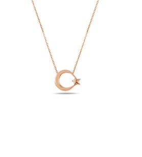 925 Ayar Gümüş Ay Yıldız Kolye Kadın Kolye Sade Sevenlere (Rose)
