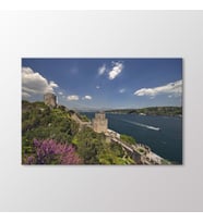 Arty Tablo Rumeli Hisarı Tablo (Karışık)