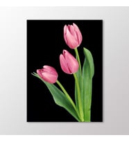 Arty Tablo Pembe Laleler Tablo (Karışık)