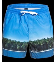 Quiksilver Jlagdrmsvly15 Erkek Jamv Bmm6 Volley Şort Eqyjv03548-Bmm6 (Renksiz)