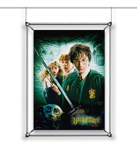 Poster & Film Afişi Harry Potter 35x50 Lisanslı Hermonie & Ron (Çok Renkli)