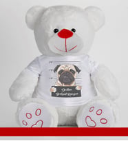 Kişiye Özel Peluş Ayıcık 50cm 86793 (Beyaz)