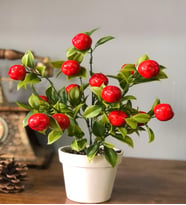 Yapay Çiçek Limon Ağacı Seramik Saksılı