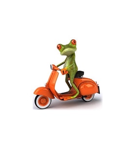Motorcu Kurbağa Araba Oto Sticker Yapıştırma