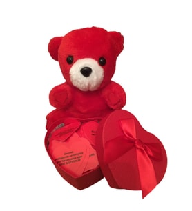365 Gün Aşk Not'lu Peluş Ayıcık (Beyaz)