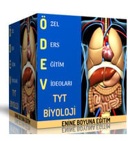 TYT Biyoloji Özel Ders Eğitim Videoları (ÖDEV)