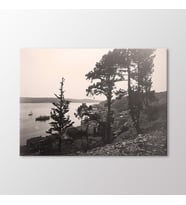 Arty Tablo Kuruçeşme, 1919 Tablo (Karışık)