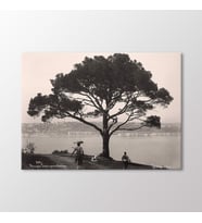 Arty Tablo F.Paşa Köprüsünden Çırağan Sarayı, 1890 Tablo (Karışık)
