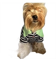 Grass Hopper Stripe Polo Yaka Tişört Köpek Kıyafeti Köpek Elbisesi