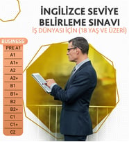 İNGİLİZCE SEVİYE BELİRLEME SINAVI (İş Dünyası için 18 Yaş ve Üzeri)