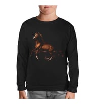 At 3 Siyah Çocuk Sweatshirt