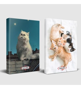 Pamuk ve Oyuncu Kediler Planlama Defteri
