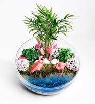 Teraryum Flamingo Cenneti