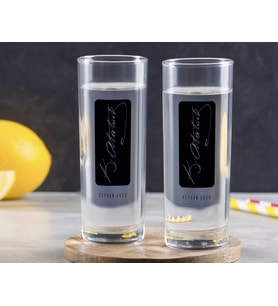 BK Gift Kişiye Özel Renkli Baskılı Atatürk Temalı İkili Vodka Bardağı-30 (Beyaz)