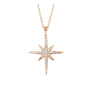Gümüş Rose Gold Kutup Yıldızı Kolye