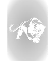 Beyaz 25Cm Panter Panther Kaplan Puma Oto Araba Sticker