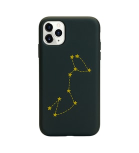 Akrep Burcu (Escorpiao) Yıldız Haritası Tasarımlı Kılıf iPhone 11 Pro Max