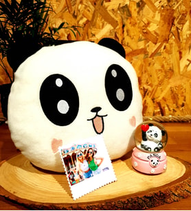 Kişiye Özel Sevimli Panda Kar Küresi Ve 3D Panda Yastık Arkadaşa Hediye