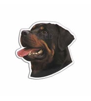 Rottweiler köpek araba Sticker kişiselleştirilmiş çıkartması