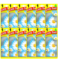 Little Trees Daisy Chain Papatya Aromalı Oto Kokusu 12 Adet (Karışık)