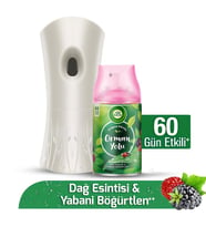Air Wick Oda Kokusu Freshmatic Makine + Yedek 250 Ml Orman Yolu