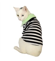 Grass Hopper Stripe Polo Yaka Tişört Kedi Kıyafeti  Kedi Elbisesi