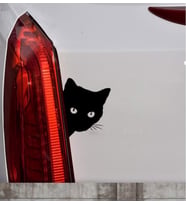 Sevimli Kedi Z Araba Sticker  Yapıştırma
