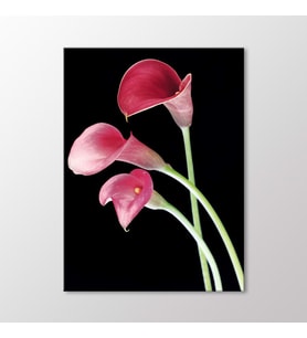 Arty Tablo Kırmızı Zambaklar Tablo (Karışık)