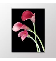 Arty Tablo Kırmızı Zambaklar Tablo (Karışık)