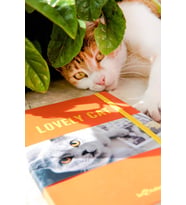 Kedi Dünyası Journal Düz
