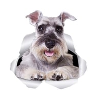 Komik Schnauzer köpek su geçirmez Sticker Yapıştırma