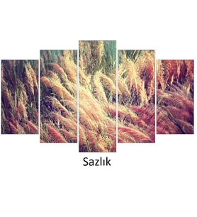 Sazlık 100x60 Mdf Yüksek Kalite Uv Baskı Beş Parça Tablo