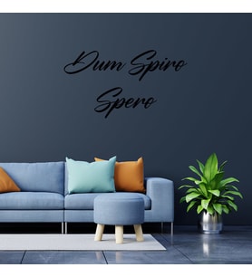 New Jargon - El Yazısı İle Yazılmış Dum Spiro Spero Duvar Yazısı Sticker 60x33cm - Siyah