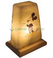 Minnie Mouse İşlemeli Tuz Lamba