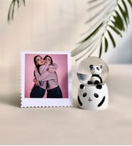 Kişiye Özel Fotoğraf Ve Panda Mini Kar Küresi