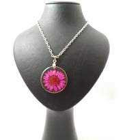 Yaşayan Canlı Kolye-Kurutulmuş Çiçekler-Pembe Papatya Modeli