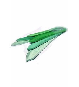 Açık Yeşil Serisi 3 Farklı Ton Yeşil Renkli 300 Adetli Quilling K