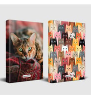 Şaşkın Kedi ve Sivri Kulaklar Planlama Defteri