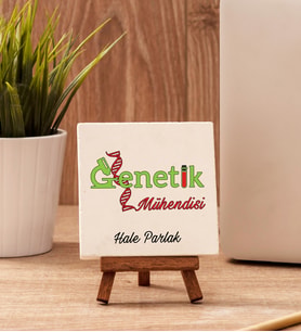 Genetik Mühendisine Hediye Taş Dekor