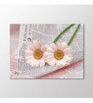 Arty Tablo Beyaz Krizantemler Tablo (Karışık)