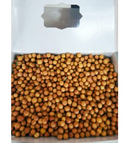 Dağın 1000G