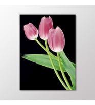 Arty Tablo Pembe Laleler Tablo (Karışık)