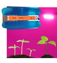 Tam Spektrum 50W 220V COB LED Chip Çanak Bitki Büyütme Fito Işık 