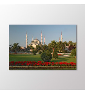 Arty Tablo Sultanahmet Camii Tablo (Karışık)